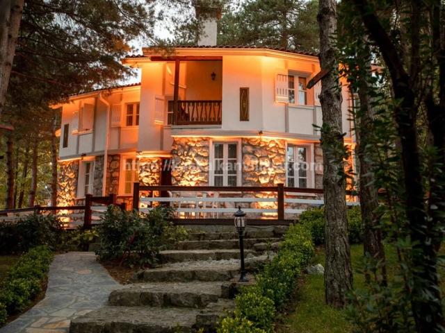 Taşyaka Villa Sapanca